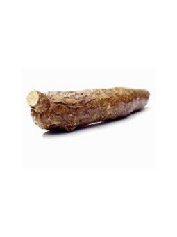 MANIOC / PIECE