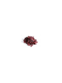 BISSAP FEUILLE D'HIBISCUS 100G